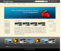 商丘網站建設 專業網站開發與網絡公司選擇指南