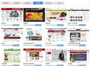 大泉州地區(qū)網(wǎng)站建設(shè)與網(wǎng)店開(kāi)設(shè) 5000+成功案例，助力企業(yè)數(shù)字化升級(jí)