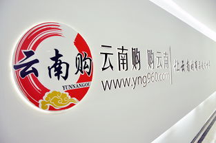 云南購，購云南 奧遠科技助力云南商品與品牌走向世界